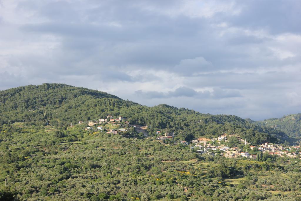 Assos Kayalar Terrace Hotel Sazlı Kültér fotó